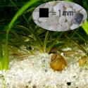 JBL Sansibar RIVER 5 kg