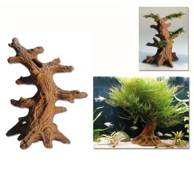 Bonsai Tonbaum 13 x 14 cm