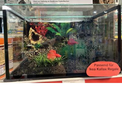 NANO-Aquarium Lendrik 25 l