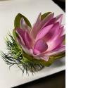 SYDECO Lotus Flower