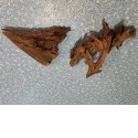 Mangrovenwurzel S 15-25 cm